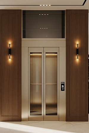 Brio Home Elevators